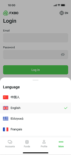 Multi-Language Support