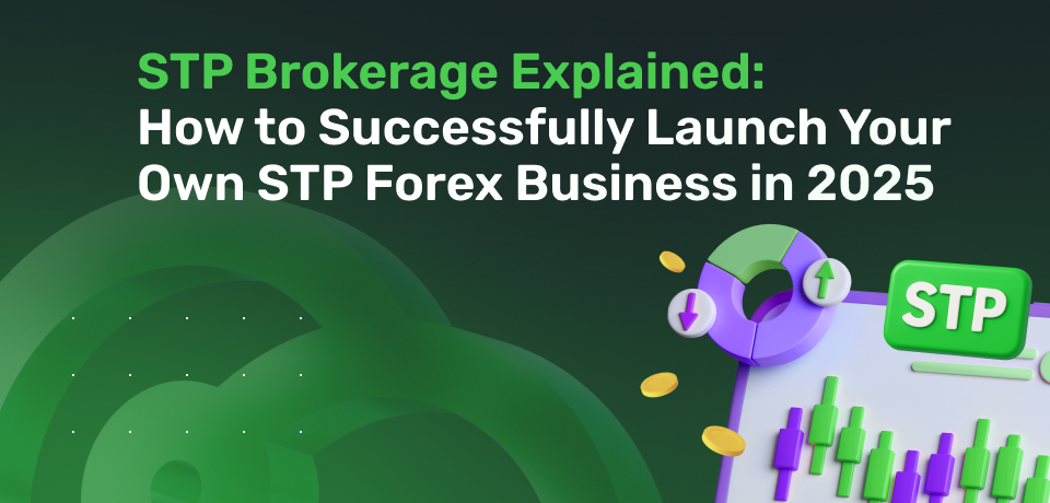 STP Brokerage Explained: How to Successfully Launch Your Own STP Forex Business in 2025 