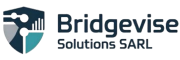 Bridgevise