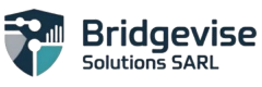 Bridgevise